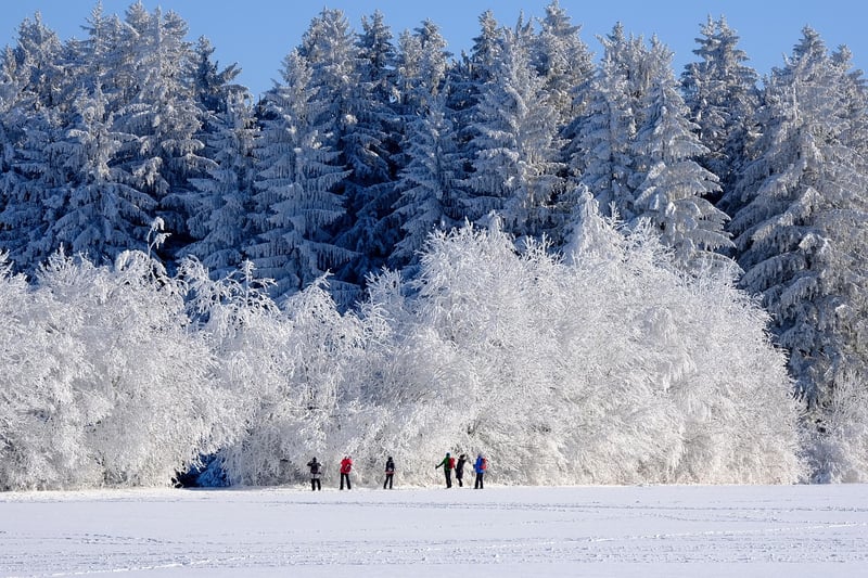 Winter
